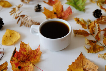 Black coffee in white cup among autumn leaves and cones on white table. Layout, top view