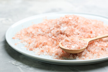Pink himalayan salt with spoon on plate, closeup