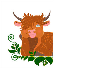 A cute cartoon Scottish bull peeking out from behind a white sheet. Vector illustration of a tank lying on the grass. Christmas card design