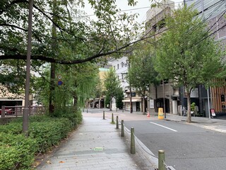Fototapeta premium alley in the park