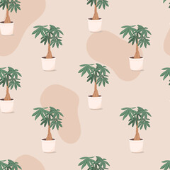 Vector trendy illustration seamless pattern of home plant in a pot. Money bonsai or pachira aquatica. Wooden trunk and large green leaves. Object for decoration.