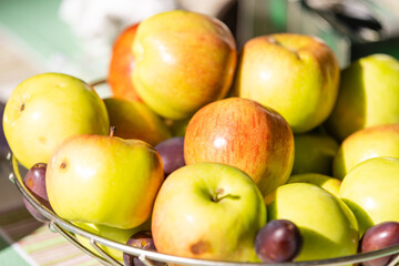 Fresh ripe red apples in bowl on natural background. Selective focus