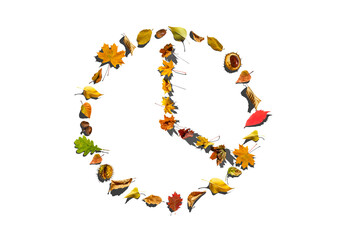 The watch dial from the leaves on a white background