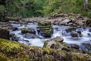 Fototapeta premium Waterfall Country in Brecon Beacons National Park and Fforest Fawr Geopark, the Vale of Neath. South Wales, the United Kingdom