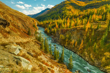 mountain river at autumn