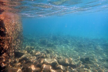 Fototapeta premium dive