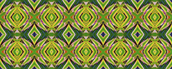 Floral ornament. Seamless ornament. Modern style. Seamless background. Plant elements. Seamless texture. Abstract background. Decoration. Creative background. Duplicate elements. Abstract texture