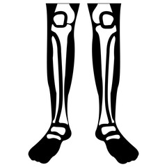 
Leg joint solid icon design 
