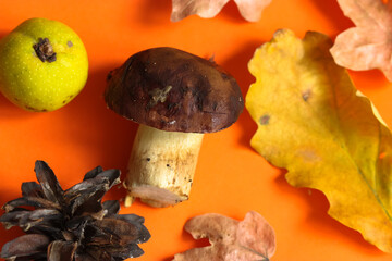 Bright autumn still life: mushrooms, dry leaves and pine cones on an orange background