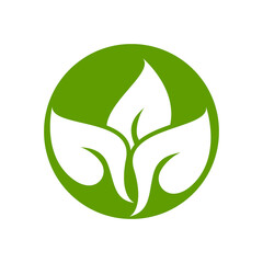 leaf icon vector design illustration