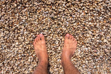 Man's legs on seashells beach. Summer beach background. Travel concept background. Summer vacation concept. Abstract background.