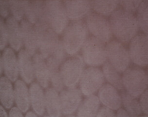 Fototapeta premium 紙