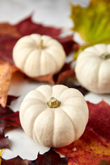 autumn light background with pumpkins
