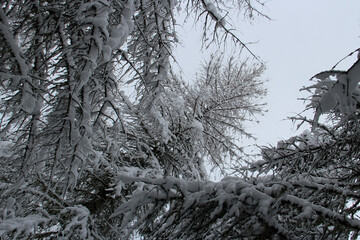 landscape in the french alpes closed to chamonix (france)