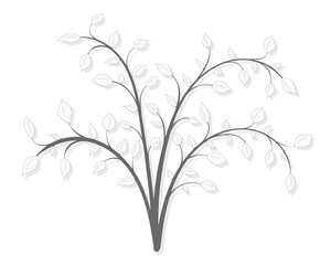 Drawing of a shrub plant in gray vintage style on a white background
