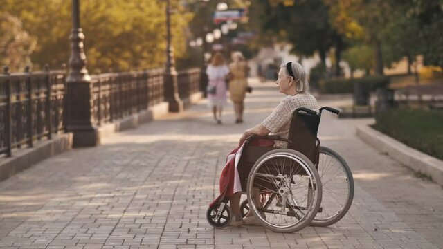 Older woman sit on wheelchair on nature