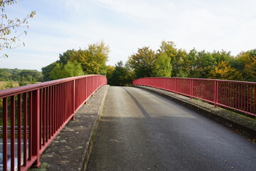 Walk through the woods in autumn