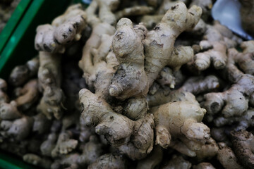 bunch of fresh ginger