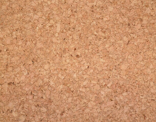 コルクの表面
