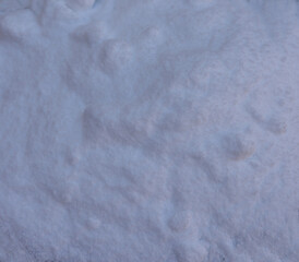 Close up of fine ground salt