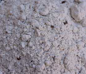 Whole wheat flour close-up