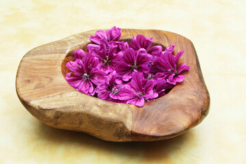 Mallow Blossoms in a Bowl, Spa treatment, Wellness
