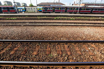 Fototapety na wymiar - Fototapeta24.pl