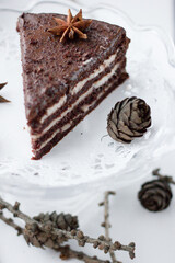 tasty homemade chocolate cake on table