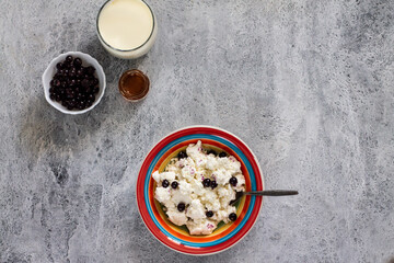 Healthy dietary breakfast with cottage cheese and berries