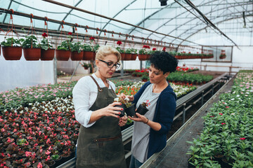 woman working green hose nursery
