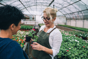 woman working green hose nursery