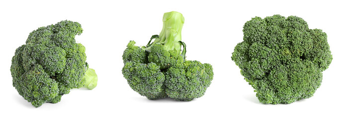 Set of fresh green broccoli on white background. Banner design