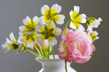 チューリップとリムナンテスの花