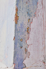 White, rusted and red and pink pattern on a wall