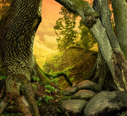 Fairy tale landscape with old crooked trees, red sunset sky, roots and rocks