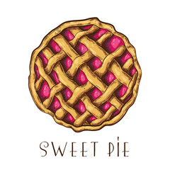 hand drawn apple pie, tart or cake with berries top view isolated on white. colored sketch of traditional pastry. illustration of sweet dessert with fruit or berry filling. holiday fall pie.