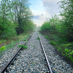 Fototapeta premium путь