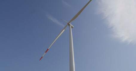 Anonymous colleagues walking towards windmill in countryside