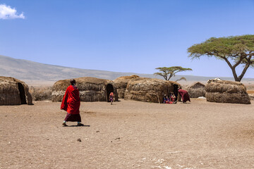 Massai villagers with their daily life inside an Massai village with traditional huts in the Serengeti National Park. Massai tribes live in the natural reserve regions in Tanzania.