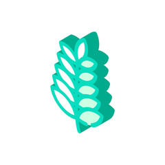 plant branch isometric icon vector color illustration