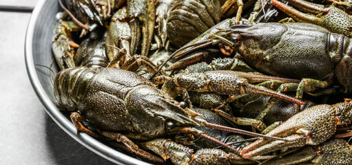 Uncooked crayfishes in pan, closeup. Banner design