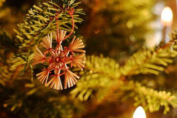 Christmas ornament on christmas tree.