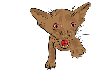 ф cute kitten looking to