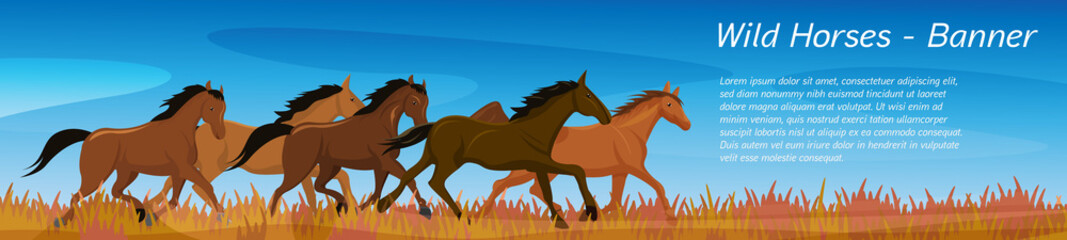 Vector illustration of wild horses. They gallop across a meadow in autumn. Panorama banner