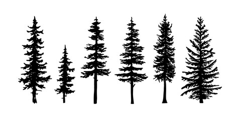 Set of tree silhouettes of different types and shapes isolated on white background. Illustration.