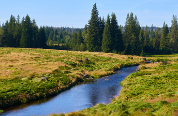 Fototapeta na wymiar Roklansky stream, Modrava, National park Sumava (Bohemian forest), Czech Republic 