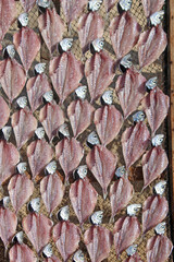Drying Fish on Nazare Beach, Portugal	