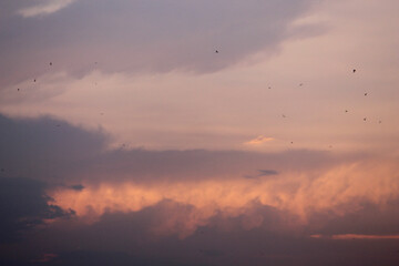 Evening sky background