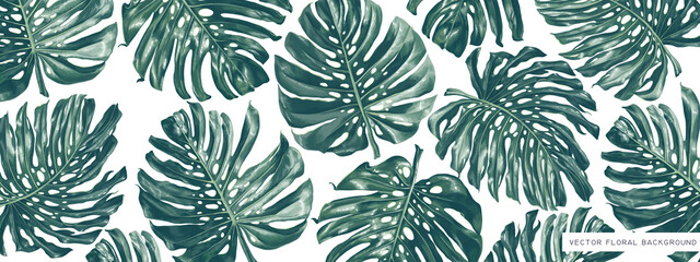 Large horizontal background with tropical realistic vector leaves of monstera palm. Cover template for website, personal blog on social media, discount banner for offline or online stores.
