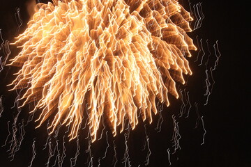 mesmerizing firework lights in the night sky